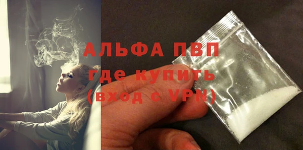 индика Видное
