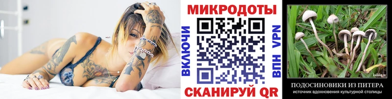 Галлюциногенные грибы Psilocybe  где найти   Удомля 