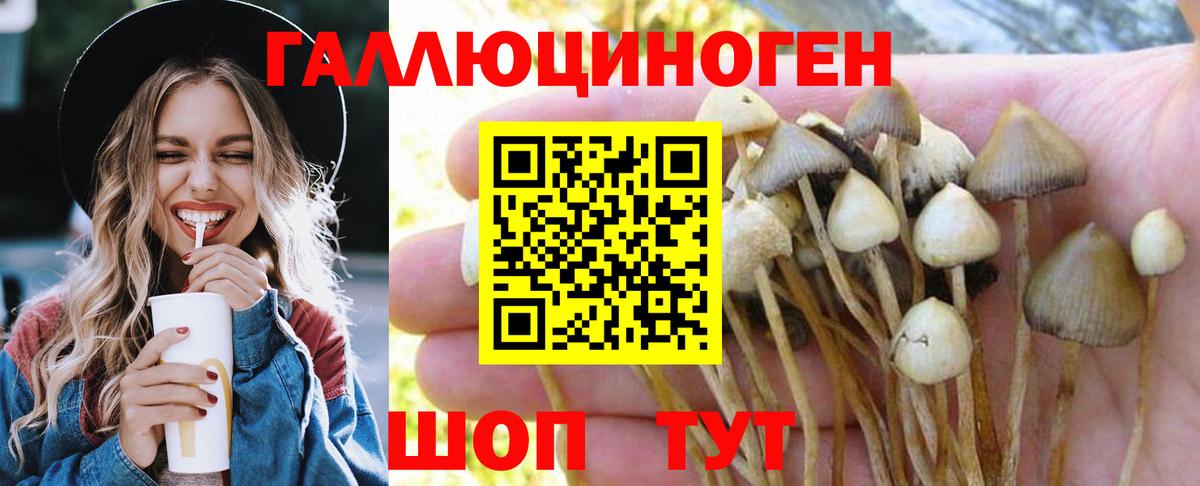 Псилоцибиновые грибы мицелий  Вход с VPN  Удомля 